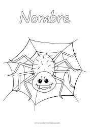 Colorear para personalizar Araña Animales Insectos Telaraña