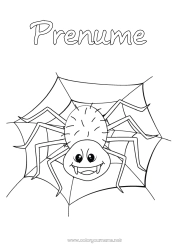 Pagină de colorat gratuită Păianjen Animal Insecte Pânză de păianjen