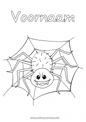 Gratis tekening Spin Dier Insecten Spinnenweb