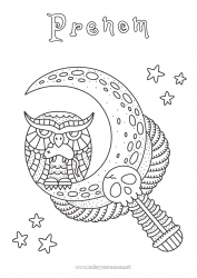 Coloriage à personnaliser Halloween Crâne Chouette, Hibou Animal Lune Oiseaux et mammifères volants