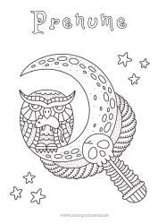 Pagină de colorat personalizată Halloween Cranium Bufniță, Uluce. Animal Lună Păsări și mamifere zburătoare