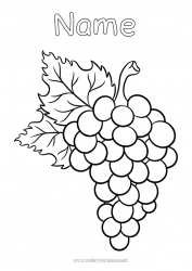 Free coloring Autumn Fruits Grape