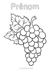 Coloriage gratuit Automne Fruits Raisin