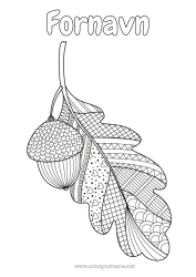 Farvelægningssiden tilpasning Efterår Zentangle Antistress Kogle Eg.