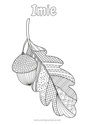 Kolorowanka do personalizacji Jesień Zentangle Antystres Żołądź Dąb