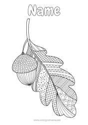 Colouring to customise Autumn Zentangle Anti-Stress Gland Oak