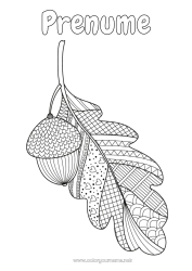 Pagină de colorat personalizată Toamnă Zentangle Anti-stres Gland Stejar
