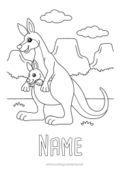 Free coloring Animal Australia Other animals of the world Kangaroo