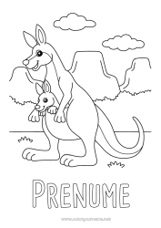 Pagină de colorat gratuită Animal Australia - Australia Alte animale din lume Kangur Familia animalelor Pui de animal