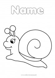 Free drawing Animal Snail Easy coloring pages Insects