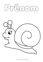 Coloriage gratuit Animal Escargot Coloriages faciles Insectes