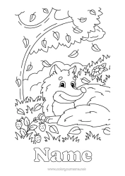 Free colouring Autumn Fox Animal Leaves Forest animals Forest