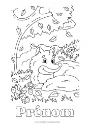 Coloriage gratuit Automne Renard Animal Feuilles Animaux de la forêt Forêt