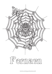 Farvelægningssiden tilpasning Edderkop Halloween Sommerfugl Komplekse farvelægninger Zentangle Insekter Edderkoppespind
