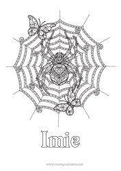 Kolorowanka za darmo Pająk Halloween Motyl Złożone kolorowanki Zentangle Owady Sieć pajęcza