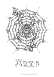 Free colouring Spider Halloween Butterfly Complex colouring pages Zentangle Insects Cobweb
