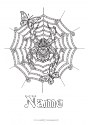 Free coloring Spider Halloween Butterfly Complex coloring pages Zentangle Insects Spider web