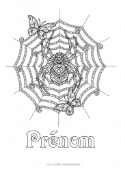 Coloriage gratuit Araignée Halloween Papillon Coloriages complexes Zentangle Insectes Toile d'araignée