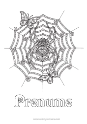 Pagină de colorat personalizată Păianjen Halloween Fluture Desene de colorat complexe Zentangle Insecte Pânză de păianjen