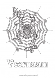 Gratis tekening Spin Halloween Vlinder Complex Kleurplaten Zentangle Insecten Spinnenweb