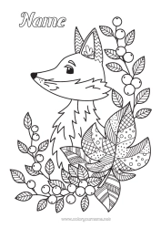 Free colouring Fox Animal Leaves Zentangle Forest animals