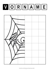 Kostenlose Malvorlage Spinne Kinderaktivitäten Insekten Spinnennetz Symmetrie