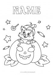 Free coloring Sweets Pumpkin Black cat Halloween