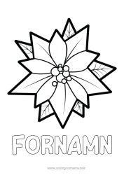 Gratis färgläggning Blommor Jul Lätta målarbilder Poinsettia - julstjärna