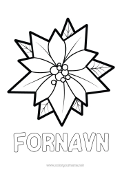 Gratis tegning Blomster Jul Enkle fargelegginger Julestjerne