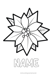 Free colouring Flowers Christmas Easy colouring pages Poinsettia