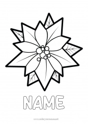 Free coloring Flowers Christmas Easy coloring pages Poinsettia