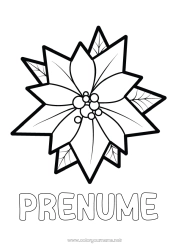 Desen liber de colorat Flori Crăciun Desene de colorat ușoare Poinsettia