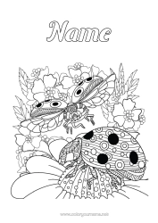 Free colouring Animal Ladybird Complex colouring pages Insects