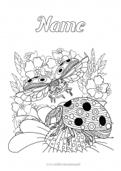 Coloring to customize Animal Ladybug Complex coloring pages Insects