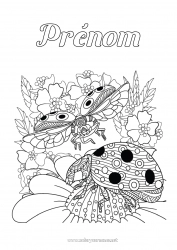 Coloriage gratuit Animal Coccinelle Coloriages complexes Insectes