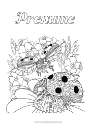 Pagină de colorat gratuită Animal Gărgăriță Desene de colorat complexe Insecte