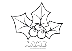 Free colouring Holly Easy colouring pages