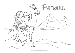 Gratis teckning Djur Egypten Afrikas vilda djur Pyramid Kameldjur, dromedar
