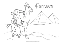 Gratis farvelægning Dyr Egypten Afrikanske vilde dyr Pyramide Kamel, dromedar