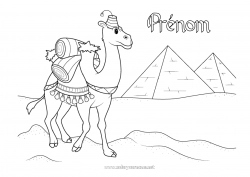 Coloriage gratuit Égypte Animaux sauvages d'Afrique Pyramide Chameau, dromadaire