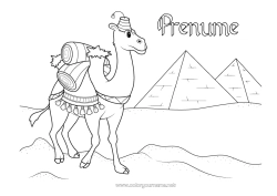 Desen liber de colorat Animal Egipt Animale sălbatice din Africa Piramidă Cămilă, dromader