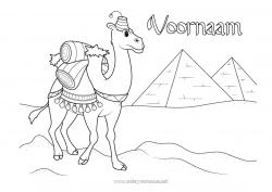 Gratis tekening Egypte Wilde dieren van Afrika Piramide Kameel, dromedaris