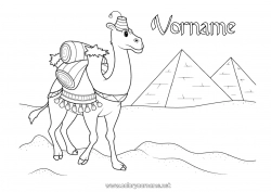 Malvorlage anpassen Tier Ägypten Wilde Tiere Afrikas Pyramide Kamel, Dromedar