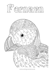 Fargeleggingssiden å tilpasse Fugl Dyr Zentangle Fugler og flygende pattedyr Island Lundefugl