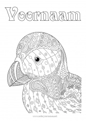 Gratis kleurplaat Vogel Dier Zentangle Vogels en vliegende zoogdieren IJsland Papegaaiduiker