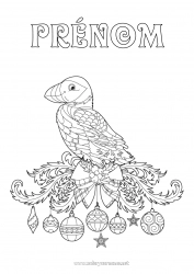 Coloriage gratuit Boule de Noël Animal Oiseaux et mammifères volants Islande Puffin