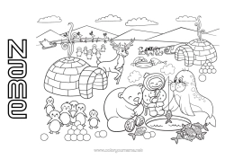 Colouring to customise Bear Snow Reindeer Penguin, Tuxedo Animal Seal Marine Or Aquatic Animals Birds And Flying Mammals Forest Animals Igloo North Pole Lapland Pack Ice Polar Bear