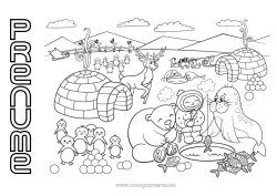 Pagină de colorat personalizată Urs Zăpadă Ren Pinguin, Pinguin de gheață Animal Focă Păsări și mamifere zburătoare Animale din pădure Igloo Polul Nord Laponia