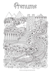 Pagină de colorat personalizată Crocodil Egipt Desene de colorat complexe Zentangle Țară Reptile Piramidă Faraon Istorie