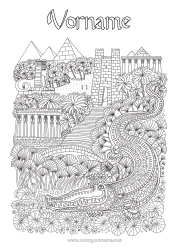 Kostenlose Malvorlage Krokodil Ägypten Komplexe Ausmalbilder Zentangle Land Reptilien Pyramide Pharao Geschichte